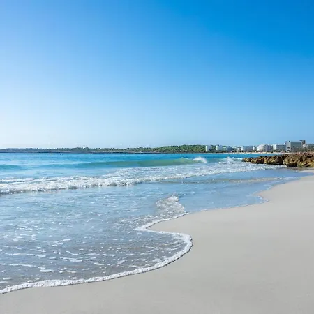 Apto Con Terraza 304 *